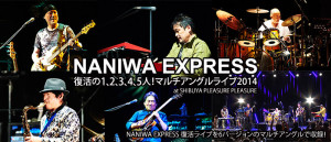 NANIWA EXPRESS 復活の1,2,3,4,5人! マルチアングルライブ2014 at SHIBUYA PLEASURE PLEASURE (DVD2枚組)